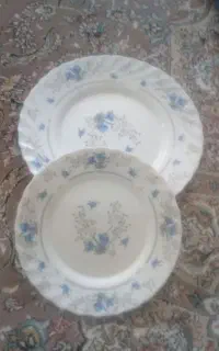 ارکوپال سالم و کم استفاده شده