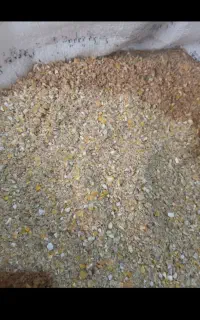 ذرت و سویا خوراک دام