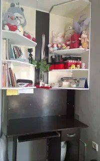 میز تحریر و کتابخانه