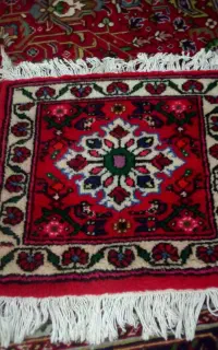 گلیم دستباف زیبا وگوشتی