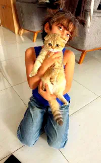 اسکاتیش ny25 ماده
