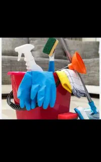 قالی پله حیاط ویلارسدگی گلودرخت ظروف حتی یک ساعت