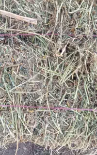 بسته بندی یونجه
