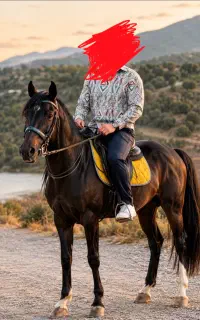 نریان عرب