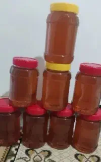 عسل برداشت اول