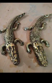 مارمولک برنجی نو