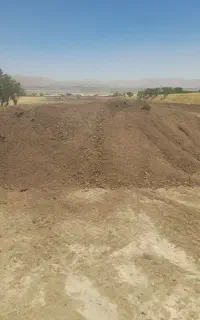 کودحیوانی