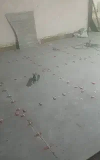 کاش کاری کف دیوار سرامیک موزایک حمام سرویس حیاط