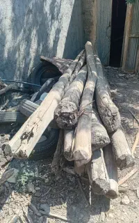 چوب ساختمانی