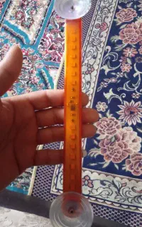 چراغ فدرالی