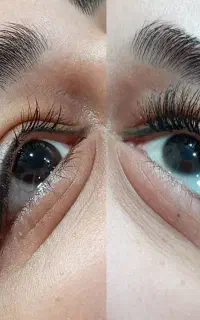 آموزش و خدمات کاشت مژه گیاهی