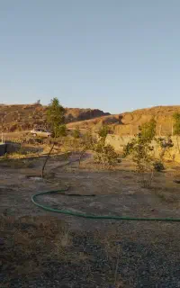 باغ کنار بوشهاد روستاه برزکان