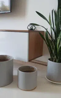 گل وگلدان