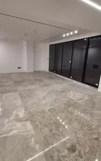 یک خانم مجرد موبایگراف جهت عکاسی