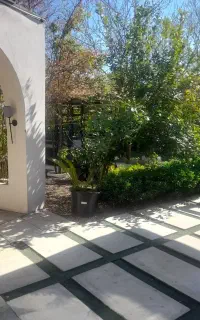 نیرو کار در رستوران