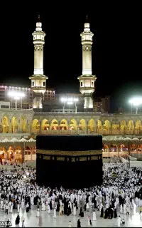فیش حج