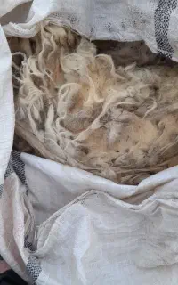 پشم‌گوسفند‌درجه‌۱