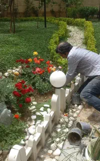 سمپاشی و باغبانی تخصصی در تهران
