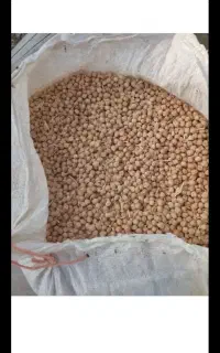 نخود تازه برداشت امسال