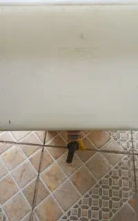 حوضچه نگهداری و پرورش ماهی و زالو و...