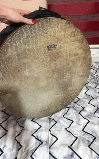دف نو