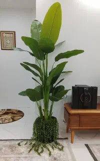 گالری بهشت (تولید درختچه مصنوعی)