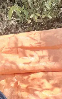 کاه کوبیده نرم آمادسفیدنرم برای گوسفند