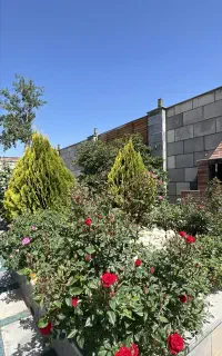 تور بانوان / چالوس، جنگل، تنگه واشی