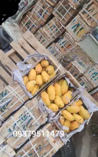 انبه درجه یک