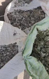 کود کبوتر