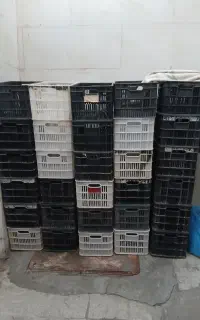 سبد گوجه فرنگی در حد