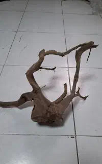 چوب آبنوس  و سنگ دکوری اکواریوم