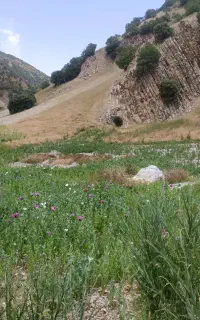 تخریب در کمترین زمان