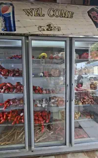 یخچال و فریز مغازه دومتری ۳ در