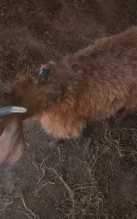 ۰۰۰