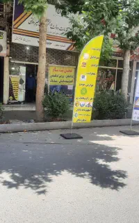همکار خانم در دفتر پیشخوان دولت
