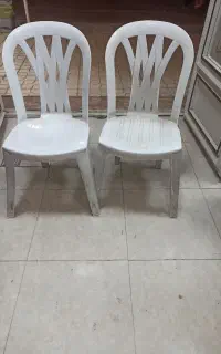 صندلی پلاستیکی ۱۵ عدد