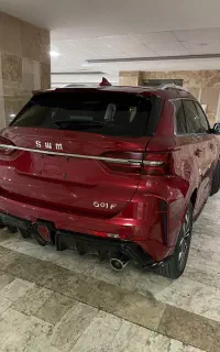 SWM G01F