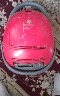 اعضای