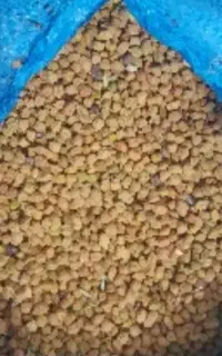 نخودزرد