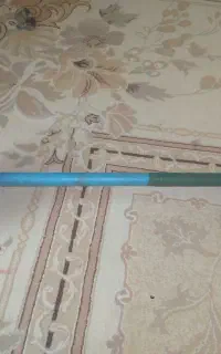 هالتر
