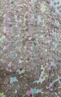 سکه
