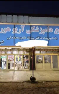 فروشنده حرفه ایی