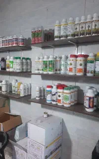 استخدام حسابدار جهت فروشگاه کشاورزی