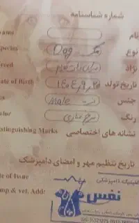 سرابی زاد قدیم سه ماهه