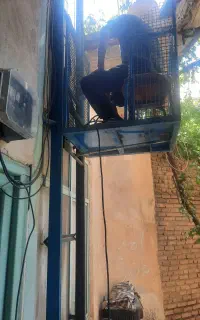 بالابر فروشگاهی