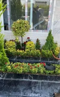خدمات باغبانی باغچه کاری تعویض خاک گلدون گل کاری