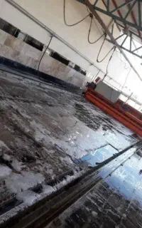 قالیشویی مبلشویی فرش بهشت مشهدشسشوتضمینی وآنلاین