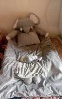 تشک نوازد