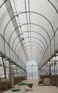 پلاستیک کشی گلخانه